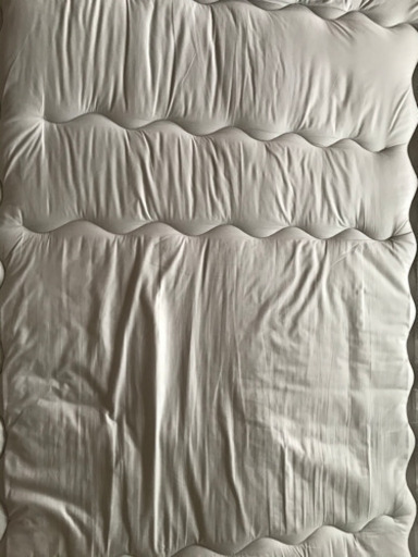 9 19までニトリ 布団ダブルサイズ2点セット犬猫用の布団にも はる 小金井の家具の中古あげます 譲ります ジモティーで不用品の処分