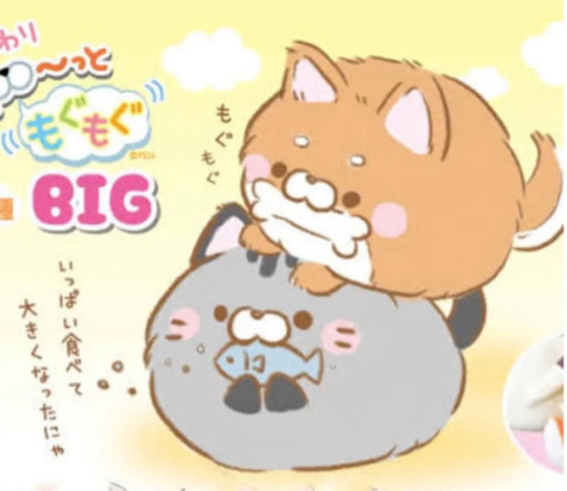 飼い主が決まりました 新品未使用タグなし Bigぬいぐるみずっともぐもぐ ふわふわ柴犬大きい犬 りん 石岡のおもちゃの中古あげます 譲ります ジモティーで不用品の処分