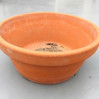 平型素焼き植木鉢
