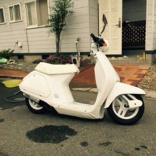 タクト、シャコタン