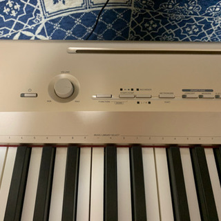 Casio 電子ピアノ Privia PX-160GD 【公式通販】