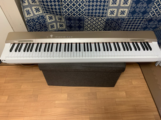 Casio 電子ピアノ Privia PX-160GD