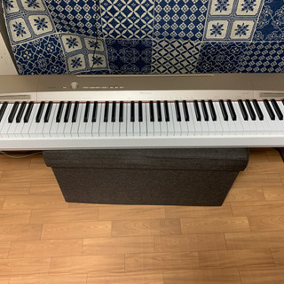 Casio 電子ピアノ Privia PX-160GD
