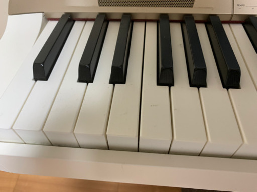 Casio 電子ピアノ Privia PX-160GD | pcmlawoffices.com