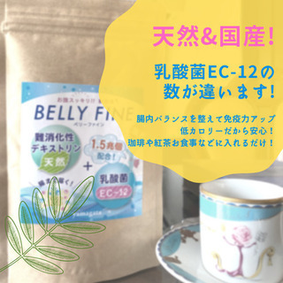 天然、国産✨デキストリン食物繊維＋乳酸菌EC-12 1.5兆個配合‼️