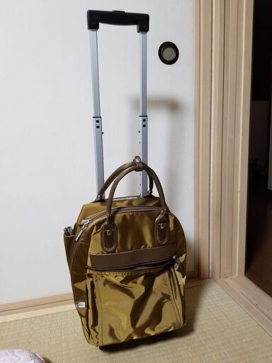 年配の方がよく使ってる、キャスターついた買い物バックみたいなもの