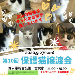 第１０回保護猫譲渡会in山口県