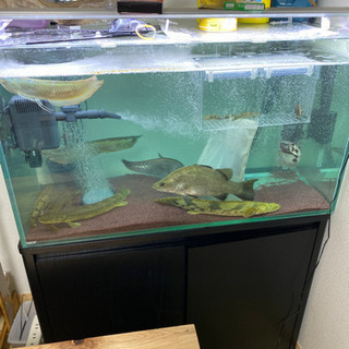 GEX 90㎝ 水槽 水槽台 キャビネット セット