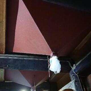 農業用 米 乾燥