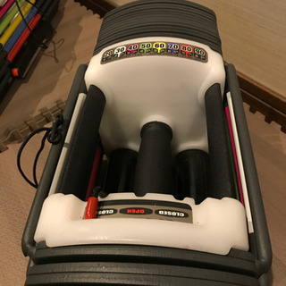 可変式ダンベル　約41kg ×2 (おまけ付き)