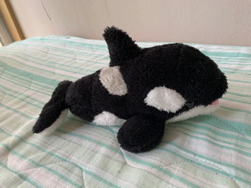 鴨川シーワールド シャチのぬいぐるみ Yukimeru 塚田の子供用品の中古あげます 譲ります ジモティーで不用品の処分