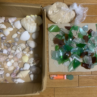 南の島のシーグラス🏝貝殻🐚砂⛱(✨稀少品✨)天然