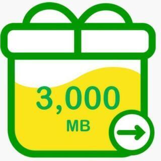 【ネット決済・配送可】mineoパケット 3G(3000MB)