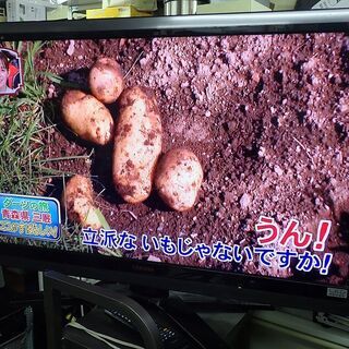 中古 TOSHIBA 東芝 REGZA 42RE1 液晶テレビ 42V型 楽直 K4099869 中古 regza 42の通販