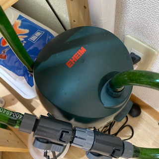 その他 60センチ水槽豪華一式 レイアウトもそのままどうぞ！
