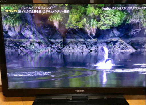 東芝REGZA 40インチ液晶テレビ40A2