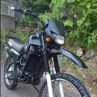 DT50 最終モデル   希少なブラックVer,