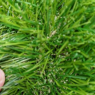 最終値下げ】人工芝☆ロール☆約6㎡分(3m×2m）☆防