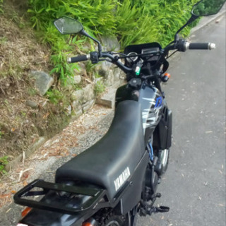 DT50 最終モデル   希少なブラックVer,