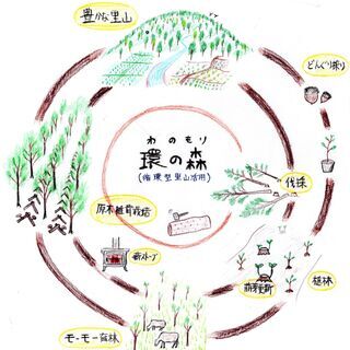 薪（乾燥針葉樹）軽トラ１台分