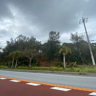 ぎのざ道の駅すぐ近くの売地✨ - 国頭郡