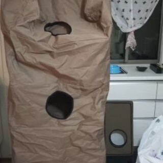 【猫タワー】K＆H　HANGING　CAT　扉吊り下げ（ハンギングキャット）
