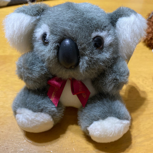 オーストラリアのコアラのぬいぐるみ ひで 函館のおもちゃの中古あげます 譲ります ジモティーで不用品の処分
