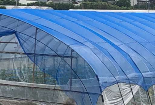 台風対策に使える防風ネット さーたん 宇城のその他の中古あげます 譲ります ジモティーで不用品の処分 台風対策に使える防風ネット さーたん 宇城のその他の中古あげます 譲ります ジモティーで不用品の処分