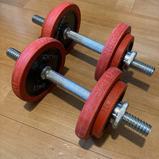 ダンベル10kg×2