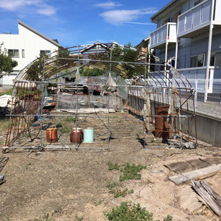 ビニールハウス 3棟