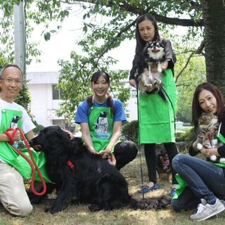 豊橋、名古屋、および愛知県全域でペットシッター募集！の画像