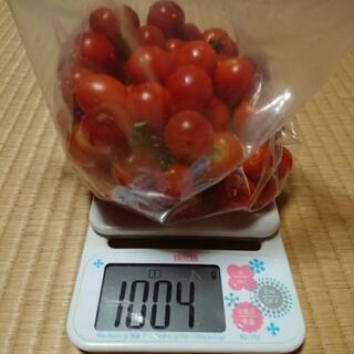 無農薬  ミニトマト  約1kg  500円  