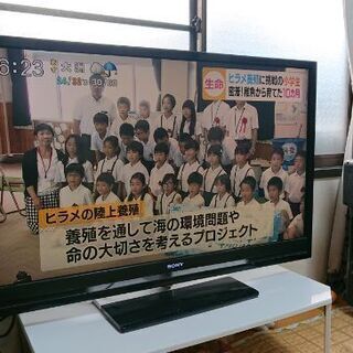 SONY 液晶テレビ KDL-46F1 46型 2009年製 | odysseype.com.au