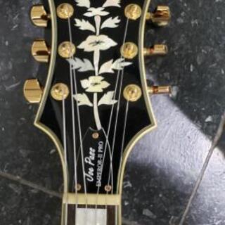 エピフォン epiphone ジョー・パス・シグネチャー emperor Ⅱ