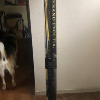 シーバス　ロッド