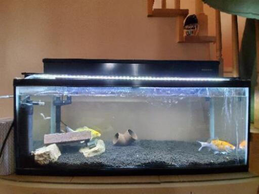 90センチ水槽と台とコーナーフィルターとその他 交渉中