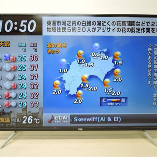 決まりました】オオバナサンゴ ヒユサンゴ レッドマルチ 海水魚