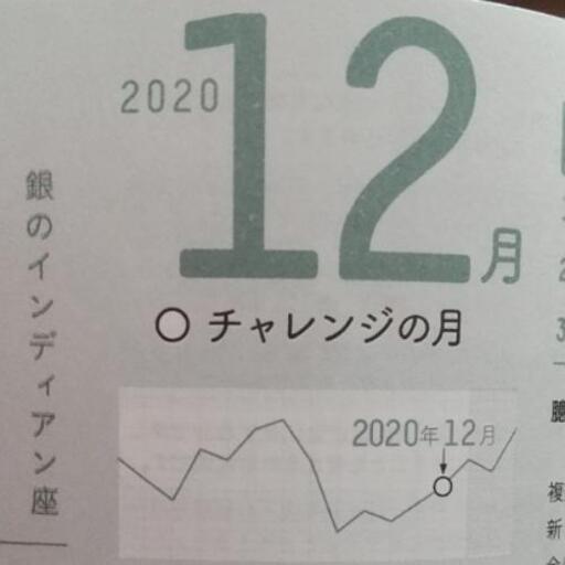 2020 インディアン 金 の