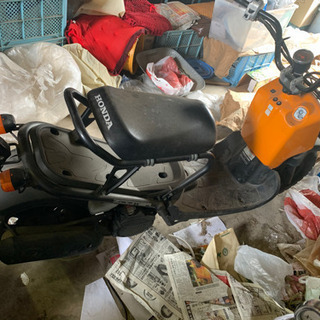 ホンダ　ズーマー　新車購入　掘り出し！