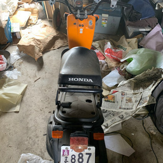 ホンダ　ズーマー　新車購入　掘り出し！