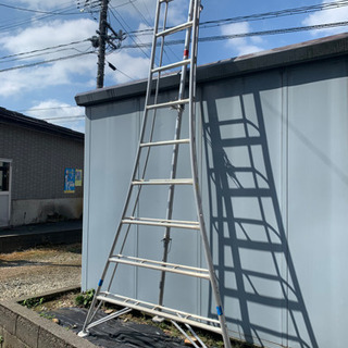 園芸用 アルミ製 三脚脚立(10尺)