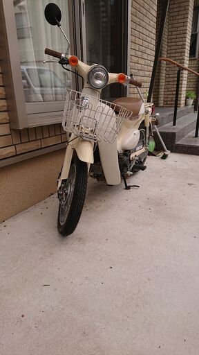 リトルカブ