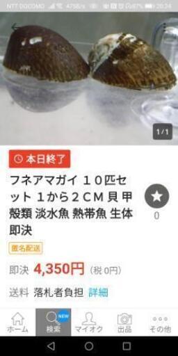 水槽最強苔取り貝 ソーキそば てだこ浦西のその他の中古あげます 譲ります ジモティーで不用品の処分