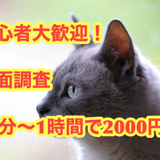 あと5名募集！覆面調査　単発短時間30分〜1時間　報酬2000円〜