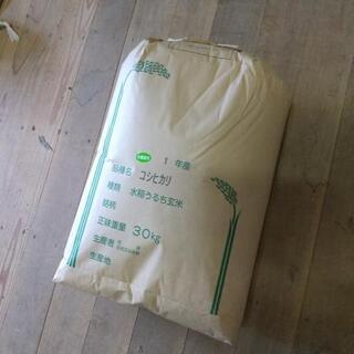 令和元年産コシヒカリ 玄米30キロ 冷蔵庫保管 減農薬 色選米