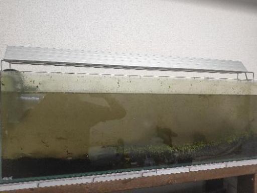 水槽 90×22×30 外部フィルター co2