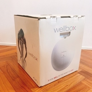 家庭用エンダモロジー wellbox - 美容家電