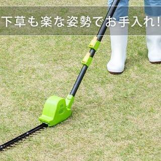 充電式高枝バサミ(中古品、美品)