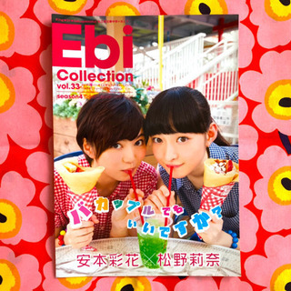 Ebi Collection vol.33 冊子のみ