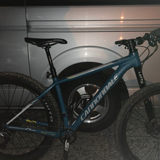 キャノンデール　BEAST OF THE EAST 1